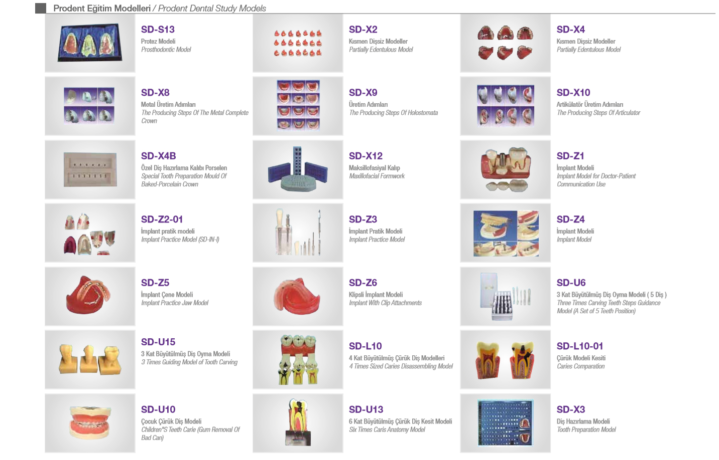 Dental Models